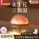 洽苒永生花加濕器家用靜音臥室小型辦公室桌面迷你床頭宿舍學(xué)生充電款可愛(ài)女生七夕禮物送女友精油香薰 櫻花粉【香薰加濕 溫馨夜燈】+手提禮袋+燈串拉菲草
