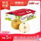 京鮮生 長城豐水梨 凈重5斤 單果250g+ 新鮮當(dāng)季 生鮮水果