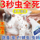 朵豪跳蚤藥床上家用非無(wú)毒噴霧殺蟲(chóng)劑除滅去跳騷專(zhuān)用貓咪狗狗寵物虱子 除跳蚤噴劑2瓶