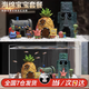 橙央海綿寶寶菠蘿屋魚(yú)缸造景擺件卡通公仔躲避屋水族箱布景裝飾套餐