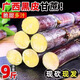 A佳現砍現發(fā)廣西黑皮甘蔗水果5斤新鮮甜桿孕婦脆甜黑皮甘蔗整箱批發(fā)R 帶箱3斤【精選中段】送削皮刀