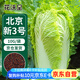 花沃里北京新三號大白菜種子10g/袋 蔬菜種子秋冬四季蘿卜種子庭院田間