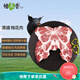 楮木香排骨 肋排 黑豬肉 構(gòu)樹飼養(yǎng)土豬肉豬小排燒烤 豬肉 生鮮源頭直發(fā) 構(gòu)樹黑豬梅花肉2斤