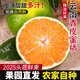 春福樂桔子【產地直發(fā)】云南蜜桔手剝薄皮無籽蜜橘子當季新鮮孕婦水果 凈重4.5-5斤精選裝丨小果