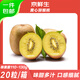 京鮮生 四川黃心獼猴桃20粒裝 單果110-130g 新鮮水果 源頭直發(fā)包郵 