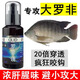 魚(yú)躍仙羅非釣魚(yú)小藥福壽魚(yú)野釣黑坑非洲鯽魚(yú)專(zhuān)攻大羅菲窩料魚(yú)餌料添加劑 羅非小藥1瓶裝100ML