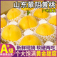 三萌果蔬正宗蒙陰黃桃 山東當季新鮮黃毛桃現(xiàn)摘桃子水果送禮 精選5斤裝【單果100g+】凈重4.5斤