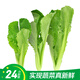 【24小時(shí)菜】小白菜苗200g(長(cháng)度≤24cm)