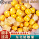 桃西村東北姑娘果【順豐可選】菇?jīng)龉S金莓燈籠果黃菇娘小金豆新鮮水果 9斤 精選果【單果7-9g】順豐