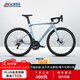 喜德盛（xds）公路車25-AD300油碟UCI車架2x10速中空一體牙盤桶軸車銀蛇480MM