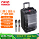 萬(wàn)利達(dá)（Malata）家庭家用k歌藍(lán)牙大功率12英寸低音炮廣場(chǎng)舞音響音箱戶外移動(dòng)便攜式帶雙麥克風(fēng)M+9039
