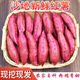 靜益樂源山東精品紅薯蜜薯蔬菜批發(fā)現(xiàn)挖芋頭產(chǎn)地直發(fā)新鮮農(nóng)家自種軟糯香甜 【中果3斤】山東精品紅薯