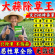 沃邦兄弟大蒜苗后除草劑大蒜地除草安全不傷苗農用除狗尾草牛筋草雜草肥料 單套