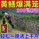 黃鱔專(zhuān)用誘餌料抓鱔魚(yú)小藥捕黃鱔河蝦泥鰍蚯蚓原液清鱔誘靈誘食劑 一瓶【快速來(lái)鱔】