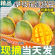 粵迎四川攀枝花凱特芒當應季新鮮水果超甜芒果水果應季現摘時(shí)令生鮮 5斤精選果凈4.5斤
