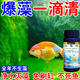 除藻劑不傷水草魚(yú)缸除藻去苔劑去除綠水褐藻絲藻黑藻除水垢凈水 【除藻抑菌凈水】單瓶裝