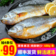 一蝦一世界國產(chǎn)冷凍黃花魚 深?；顑龃簏S魚 黃魚鲞黃魚段燒烤食材年夜飯送禮 黃花魚400g-500g/條【原條單凍】