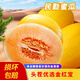 鮮然綠品甘肅民勤黃河蜜瓜黃金甜瓜蜜水果新鮮當(dāng)季整箱沙漠黃金哈密瓜香瓜 熱銷8-9斤【3顆】