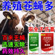 滅蒼蠅養(yǎng)殖場專用蒼蠅藥農(nóng)村豬圈牛場雞殺蠅滅蠅驅(qū)蚊呋蟲胺殺蟲劑 滅蚊蠅蟑螂蛆蟲一掃光2套 滅蠅滅蚊蟲
