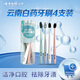 云南白藥金口健牙刷套裝4支裝便攜套筒 竹炭刷毛舒適刷頭悅手防滑