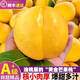 儲褚順豐發(fā)貨正宗大連黃金芒果桃 黃金油桃 新鮮桃子 當季水果禮盒 特大果4-4.5斤【9-12枚禮盒】