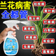 蘭花專(zhuān)用肥料殺菌劑黃葉焦尖黑斑病防干尖爛根營(yíng)養(yǎng)液植物多菌靈藥 1瓶裝*免稀釋直接噴