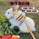 侏儒兔牽引繩超小型防掙脫龍貓溜兔子專用衣服可調(diào)節(jié)外出遛荷蘭豬 黃色小蜜蜂牽引繩xs(0-3斤）