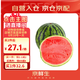 京鮮生 無(wú)籽麒麟大西瓜 1粒裝 7-9斤 生鮮水果
