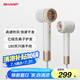 夏普高速吹風機家用 大功率負離子電吹風低噪音護發(fā)風筒高速風干不傷發(fā)升級款IB-RP47C-C