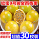 果益壽廣西欽蜜9號黃金百香果 新鮮水果白香果醬原漿整箱 20個裝【單果30g以下】嘗鮮小小果