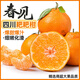 今鮮果四川春見(jiàn)耙耙柑新鮮水果應季柑橘子桔子粑粑柑孕婦水果 統貨直發(fā)(普通快遞) 真·耙耙柑凈重4.5斤裝/單果80mm+