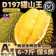 御京鮮馬來西亞貓山王D197液氮冷凍榴蓮肉整個(gè)帶殼水果 貓山王整顆AAA級3.5-4.0斤保4房 順豐直發(fā)