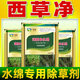 津田55%西草凈水稻田專(zhuān)用除草劑水綿水稻移栽田一年生雜草除草劑 30g*3袋【水稻田專(zhuān)用】