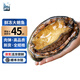 鱘食活凍大鮑魚新鮮福建九孔鮑魚國產(chǎn) 海鮮水產(chǎn)燒烤食材 5-7只/斤【精選鮑魚3斤】