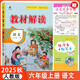2025秋教材解讀六年級上冊語(yǔ)文人教版課本同步講解書(shū)+小學(xué)語(yǔ)文同步字帖上冊（套裝2本）
