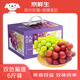 京鮮生精品陽(yáng)光玫瑰+妮娜皇后 凈重5斤葡萄組合 生鮮水果高端中秋禮盒