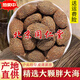 北京同仁堂野生胖大海中藥材特級胖大海羅漢果泡茶泡水喝 1罐 50g 【新品嘗鮮】胖大海