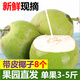 甘果有約海南椰青 新鮮椰子文昌帶皮青椰子雞孕婦補(bǔ)羊水椰子椰青孕婦水果 8個(gè)帶皮老嫩隨機(jī)發(fā)（水少肉厚）