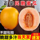 春福樂正宗甘肅民勤黃河蜜瓜新鮮水果應(yīng)當(dāng)季甜瓜沙漠哈密瓜黃皮頭茬現(xiàn)摘 凈重6-7斤
