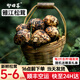 智田喜雅江松茸新鮮高品質(zhì)未開傘松茸菌菇野冷鏈空運多地次日達(dá)生日送禮 未開傘松茸5-6cm 凈重 500g