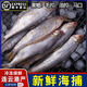 十里饞黃鯽魚3斤新鮮凈重大號黃鯽子魚毛扣魚鯽魚油炸香煎酥脆實(shí)惠海