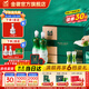 金徽酒 【送人送禮】柔和H3 濃香型白酒 45度 500mL 2瓶 禮盒裝+分酒器酒杯