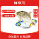 鮮京采【冰鮮】 萬(wàn)山島金鯧魚(yú)3斤/3條 地標產(chǎn)品 國產(chǎn)魚(yú)類(lèi) 源頭直發(fā)