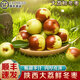 南步陜西大荔冬棗【順豐到家】特級(jí)牛奶蜜棗冰糖脆冬棗新鮮水果 2500g 精選中果【單果12-15g】