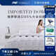 安睡寶（SOMERELLE）羽絨被95%俄羅斯進(jìn)口大朵白鵝絨被子春秋被冬被抗菌被芯鵝絨被 95%大朵白鵝絨立體鎖暖春秋被 俄羅斯進(jìn)口抗菌【220*240cm】