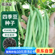花沃里四季豆80粒/包 蔬菜種子盆栽陽臺種菜土架豆種籽陽臺/庭院田間種