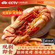 昌鮮園即食烤蝦干特大九節(jié)蝦干野生竹節(jié)蝦烤制海鮮水產(chǎn)干貨特產(chǎn)斑節(jié)蝦干 【250g/罐 約15對(duì)】4罐裝