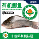 南都湖【有機鯽魚(yú)】 三去鮮活速凍淡水魚(yú) 無(wú)抗生鮮水產(chǎn)整條魚(yú) 0抗生素 有機鯽魚(yú)500g*4袋（去腮去鱗凈重）