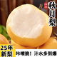 京地達(dá)梨碭山秋月梨凈重8.8斤單果300g+新鮮香梨子水果送禮源頭直發(fā)包郵
