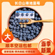 當(dāng)季新鮮水果長(zhǎng)白山寒地精品藍(lán)莓東北吉林靖宇藍(lán)梅大果花青素空運(yùn) 凈重500g（125g*4盒）